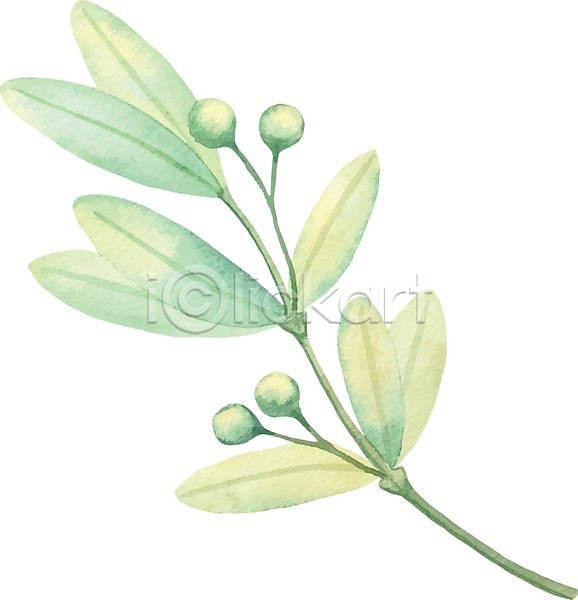 사람없음 EPS 일러스트 해외이미지 그림 번짐 붓터치 수채화(물감) 식물 잎