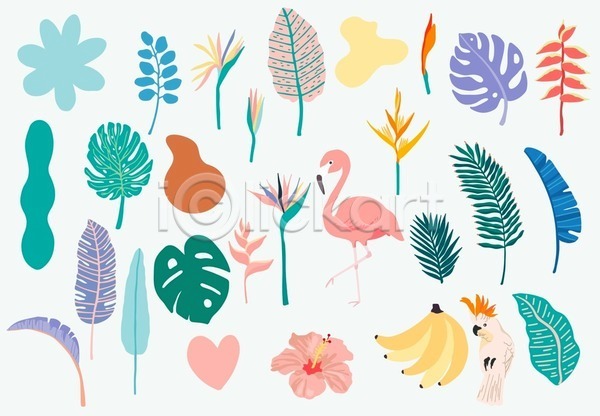 시원함 사람없음 EPS 일러스트 해외이미지 두마리 몬스테라 백그라운드 여름(계절) 열대꽃 열대잎 왕관앵무새 패턴 패턴백그라운드 플라밍고