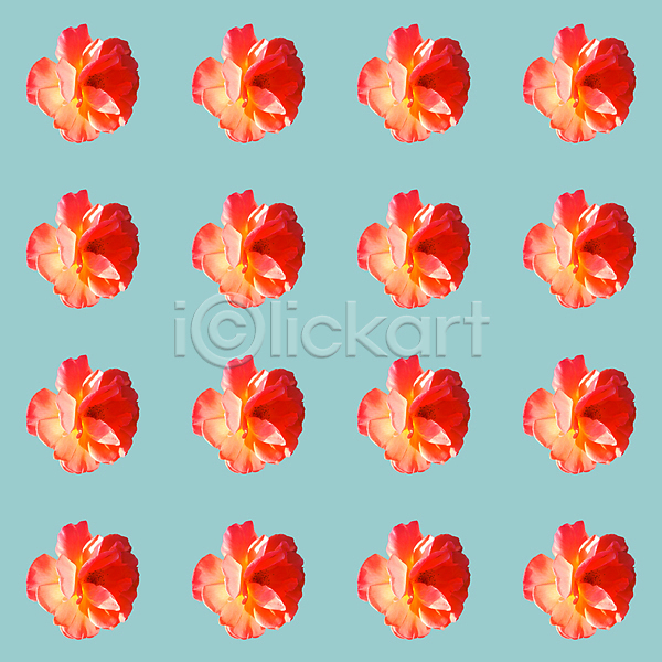 사람없음 JPG 포토 해외이미지 꽃 민트색 백그라운드 빨간색 일렬 패턴 패턴백그라운드