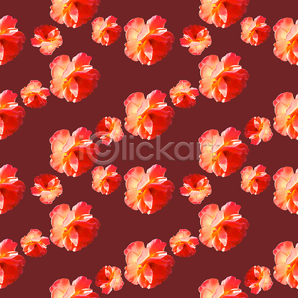 사람없음 JPG 포토 해외이미지 갈색 꽃 백그라운드 빨간색 패턴 패턴백그라운드