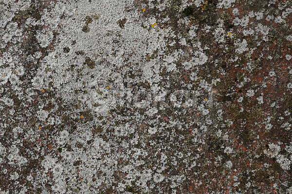사람없음 JPG 포토 해외이미지 균열 백그라운드 벽 시멘트 시멘트벽 질감