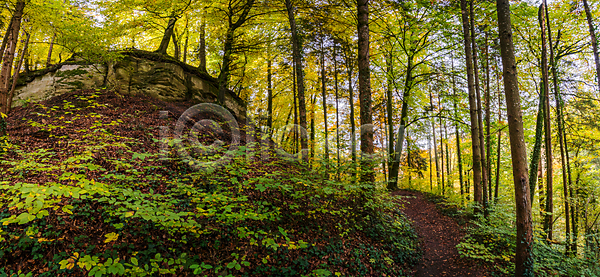 보호 산책 편안함 휴식 흐름 사람없음 JPG 포토 해외이미지 가을 개울 골짜기 맑음 물 물방울 바위 시골 야외 에너지 여름 여행 잎 자연 트래킹 평형 폭포 하이킹 해외포토 호수 환경 휴가