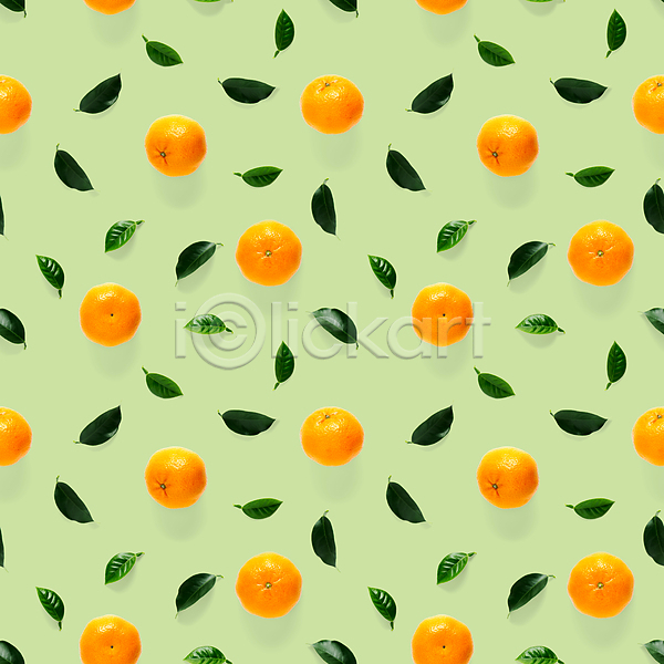 사람없음 JPG 포토 해외이미지 귤 잎 초록배경 패턴