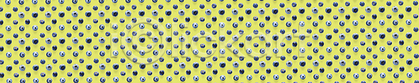 사람없음 JPG 포토 해외이미지 블루베리 초록배경 패턴