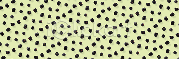 사람없음 JPG 포토 해외이미지 블랙베리 초록배경 패턴