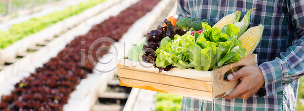 남자 동양인 성인 성인남자한명만 한명 JPG 포토 해외이미지 농부 농사 농업 농작물 밭 비즈니스 상반신 야외 주간 해외포토