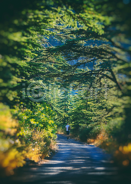 산책 탈출 남자 사람 성인 한명 JPG 포토 해외이미지 걷기 국립공원 나무 도로 랜드마크 배낭 산 숲 식물 신혼여행 여름(계절) 여행 여행객 자연 중동 트래킹 풍경(경치) 하이커 하이킹 휴가
