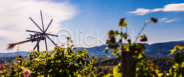 무서움 특별함 사람없음 JPG 포토 해외이미지 6 가을 계곡 계절 농경지 농업 농촌 도로 망치 바람 밭일 수확 슬로베니아 시골 심볼 양조장 언덕 역사 와인 유럽 일몰 잎 자연 칼날 컬러풀 파노라마 포도 포도나무 포도밭 풍경 풍차 해외포토 환경