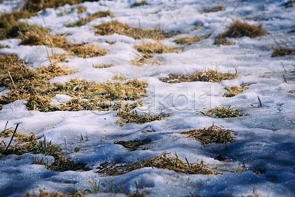 건조 추위 사람없음 JPG 포토 해외이미지 겨울 계절 날씨 내추럴 눈내림 땅바닥 백그라운드 야외 자연 지역 질감