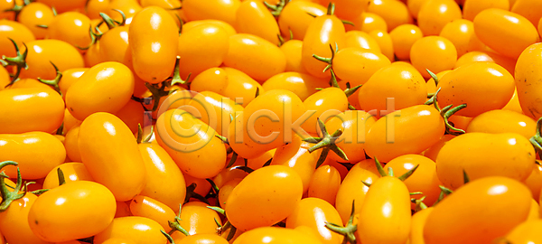 성장 신선 사람없음 JPG 포토 해외이미지 건강 과일 날것 내추럴 농업 농작물 농장 다발 맛 밭 밭일 비즈니스 빨간색 수확 숙성 식물 온실 원예 유기농 음식 잎 자연 재료 정원 주택 채소 채식주의자 초록색 토마토 포도나무 해외포토