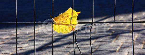 고독 고통 슬픔 우울감 이별 사람없음 한명 JPG 포토 해외이미지 9월 계절 관계 깨짐 노란색 단풍 문제 버리기 손상 싱글 옛날 우울증 유적 은퇴 이혼 잎 장식 죽음 컨셉 컬러풀 해외포토 혼자 황금