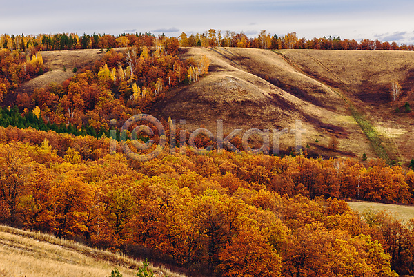 사람없음 JPG 포토 해외이미지 가을(계절) 가을풍경 낙엽 단풍 단풍나무 야외 언덕 자연 주간 풍경(경치) 하늘
