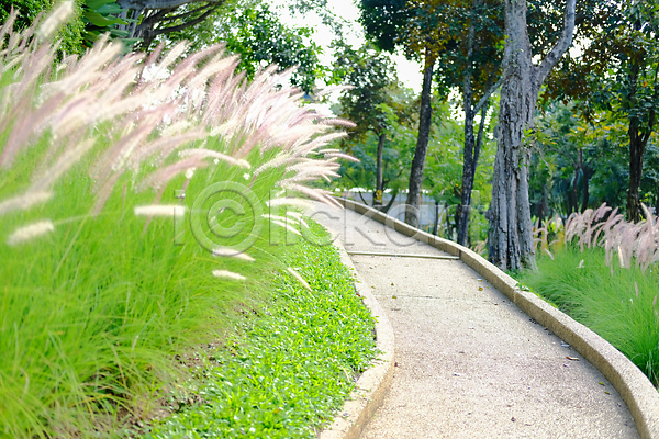 사람없음 JPG 포토 해외이미지 길 꽃 밭 산 식물 야외 언덕 여름(계절) 오솔길 자연 정원