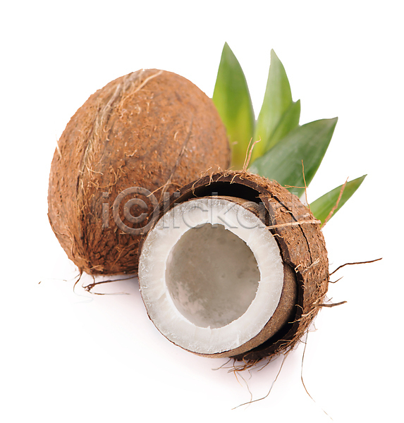 사람없음 JPG 포토 해외이미지 잎 코코넛