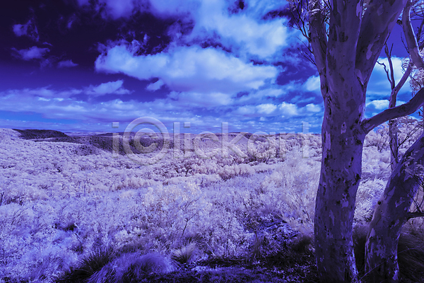 건조 사람없음 JPG 포토 해외이미지 흑백 가뭄 구름(자연) 나뭇가지 땅 산 수평선 언덕 여행 잎 자연 장면 적외선 지역 파란색 풍경(경치) 하늘 호주 환경