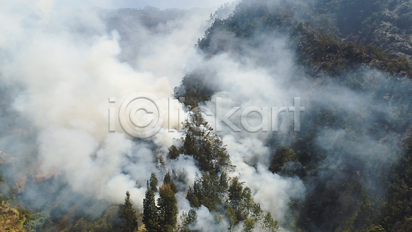위험 사람없음 JPG 포토 해외이미지 나무 불 불꽃(불) 산 산불 숲 야외 연기 연소