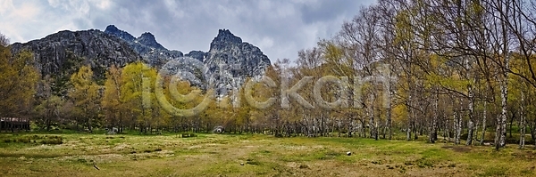 사람없음 JPG 포토 해외이미지 강 겨울 공원 길 나무 나뭇가지 내추럴 땅 목재 물 반사 보호구역 산 삼림지대 숲 식물 야외 연못 운하 유럽 잎 자연 초록색 파노라마 포르투갈 해외포토 호수 환경