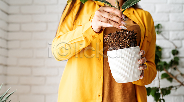 성인 성인여자한명만 여자 한명 JPG 포토 해외이미지 노란색 들기 뿌리 상반신 실내 잎 홈가드닝 화분 흙