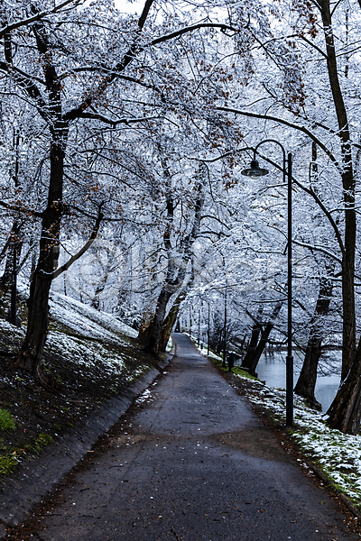 추위 사람없음 JPG 포토 해외이미지 겨울 계절 공원 길 나무 나뭇가지 날씨 내추럴 냉동 눈내림 도로 목재 브로츠와프 서리 숲 아침 야외 얼음 오솔길 유럽 자연 장면 폴란드 풍경(경치) 하늘 흰색