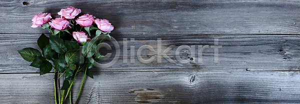 사랑 사람없음 JPG 포토 해외이미지 5월 기념 꽃 꽃무늬 널 머리위 목재 백그라운드 벚꽃 봄 분홍색 선물 수확 시골 어머니의날 엄마 이벤트 장미 전통 축제 카피스페이스 컨셉 해외포토 휴가