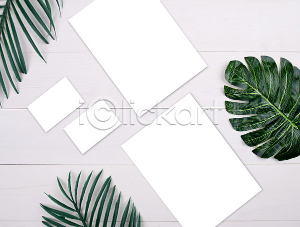 사람없음 JPG 포토 해외이미지 나뭇잎 명함 목업 비즈니스 야자수잎 종이 프레임 흰배경