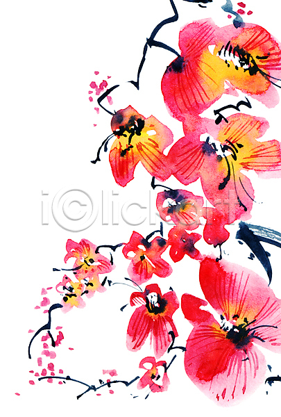 사람없음 JPG 일러스트 포토 해외이미지 꽃 꽃잎 동양화 미술 번짐 분홍색 붓터치 수묵화 수채화(물감) 줄기 캘리그라피