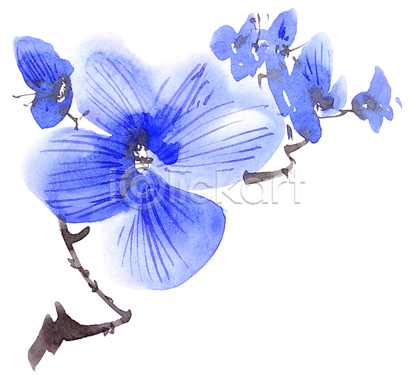 사람없음 JPG 일러스트 포토 해외이미지 꽃 꽃잎 동양화 미술 번짐 붓터치 수묵화 수채화(물감) 캘리그라피 파란색
