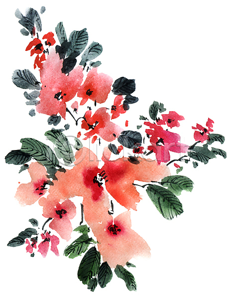 사람없음 JPG 일러스트 포토 해외이미지 꽃 꽃잎 동양화 미술 번짐 분홍색 붓터치 수묵화 수채화(물감) 잎 줄기 캘리그라피