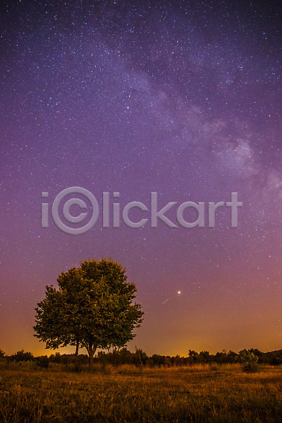 감성 분위기 사람없음 JPG 포토 해외이미지 나무 몽환 밤하늘 별 야간 야외 은하수(은하) 한그루