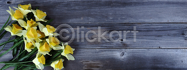 사랑 사람없음 JPG 포토 해외이미지 5월 기념 꽃 꽃무늬 널 노란색 머리위 목재 백그라운드 벚꽃 봄 부활절 선물 수선화 수확 시골 어머니의날 엄마 이벤트 전통 축제 카피스페이스 컨셉 해외포토 휴가