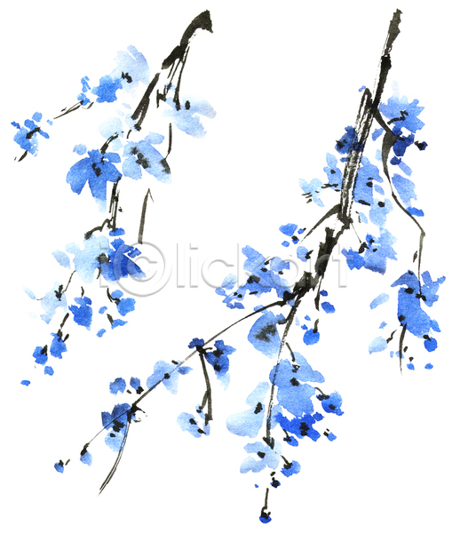사람없음 JPG 일러스트 포토 해외이미지 그림 꽃 나뭇가지 손그림 수채화(물감) 파란색