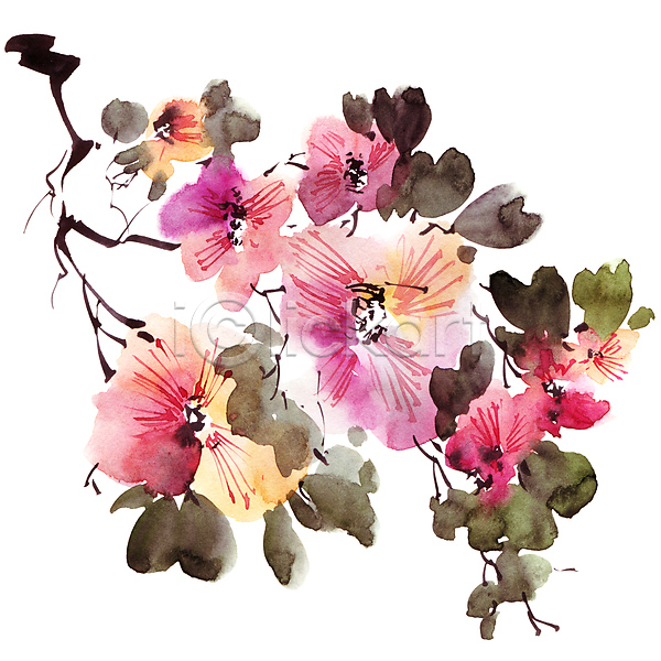 사람없음 JPG 일러스트 포토 해외이미지 꽃 꽃잎 동양화 미술 번짐 붓터치 수묵화 수채화(물감) 줄기 캘리그라피