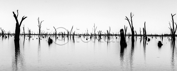 사람없음 JPG 실루엣 장노출 포토 해외이미지 가뭄 가을 강 검은색 겨울 계절 구름 나무 나뭇가지 내추럴 목재 물 미술 백그라운드 생태계 손상 숲 시골 식물 야외 어둠 여행 잎 자연 재앙 죽음 풍경 하늘 해외포토 호수 호주 환경 흰색