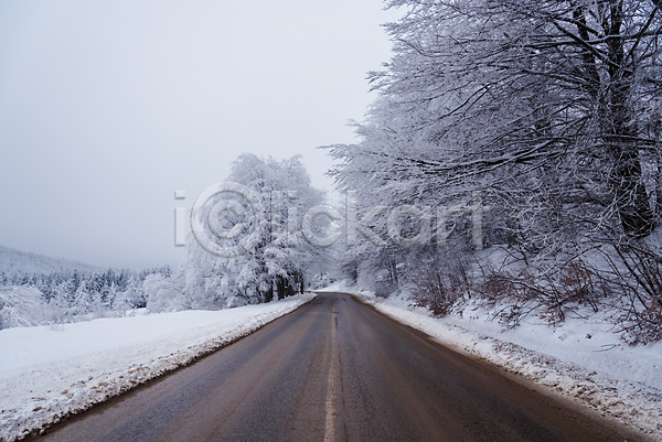 사람없음 JPG 포토 해외이미지 가로수 겨울 나무 눈(날씨) 도로 야외 자연 풍경(경치) 하늘