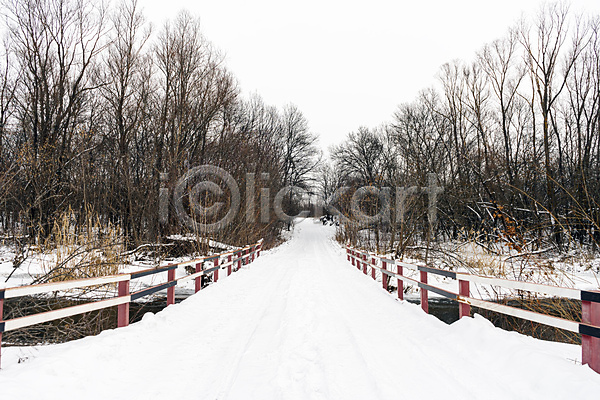 사람없음 JPG 포토 해외이미지 가로수 겨울 길 나무 눈(날씨) 야외 울타리 자연 풍경(경치)