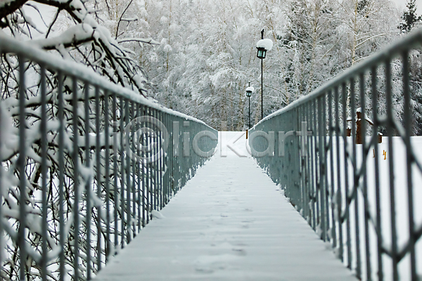 사람없음 JPG 포토 해외이미지 가로수 겨울 길 나무 눈(날씨) 다리(건축물) 야외 울타리 자연 풍경(경치)