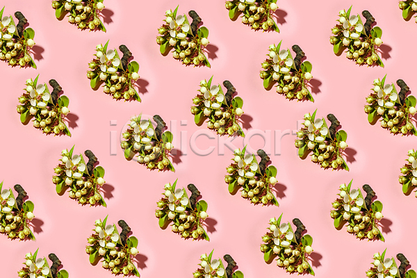 사람없음 JPG 포토 해외이미지 꽃 백그라운드 분홍색 열매 패턴 패턴백그라운드