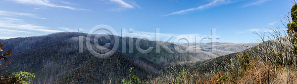 미래 변화 보호 슬픔 위험 사람없음 JPG 포토 해외이미지 겨울 공원 나무 내추럴 목재 물 바이에른 백그라운드 버리기 불 뿌리 산 생태계 생태학 손상 숲 썩음 에너지 여름 여행 오존 이산화탄소 자연 재앙 죽음 태양 파란색 풍경 하늘 해외포토 호주 환경