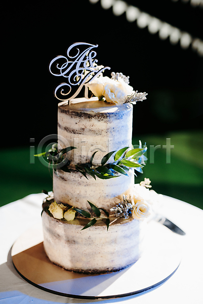 사람없음 JPG 포토 해외이미지 결혼 꽃 데코픽 영어 웨딩케이크 잎 장식 케이크