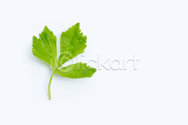 신선 사람없음 JPG 포토 해외이미지 백그라운드 샐러리 유기농 잎 흰배경