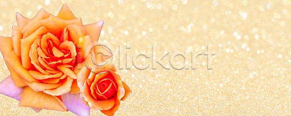 사랑 신선 사람없음 여자 JPG 포토 해외이미지 구성 그래픽 꽃 내추럴 디자인 배너 백그라운드 봄 사인 식물 심볼 싱글 인사 자연 장식 초대 컬러풀 해외포토 휴가