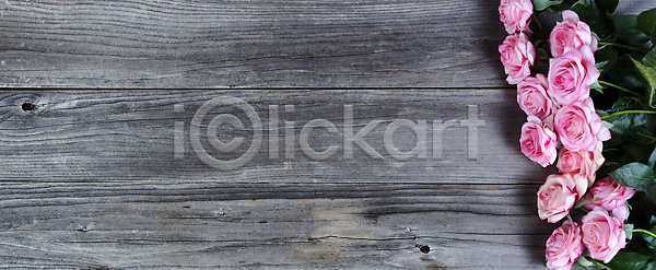 사랑 행복 사람없음 JPG 포토 해외이미지 기념 기념일 꽃 꽃다발 꽃무늬 날씨 널 목재 발렌타인데이 백그라운드 분홍색 선물 수확 시골 이벤트 장미 카피스페이스 컨셉 해외포토 휴가