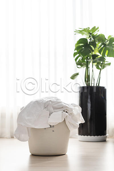 깨끗함 사람없음 JPG 포토 가사 빨래 빨래바구니 빨랫감 세탁용품 식물 실내 청결 화분