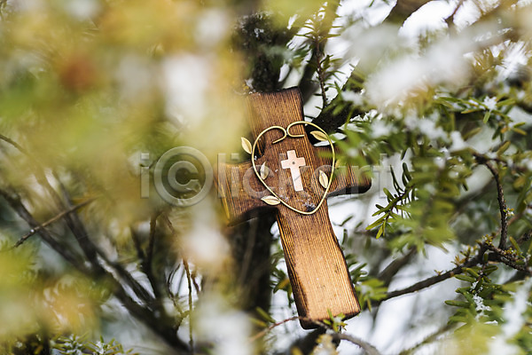 사람없음 JPG 포토 겨울 계절 교회 기독교 나무 나뭇가지 나뭇잎 눈(날씨) 눈꽃 숭배 십자가 야외 예배 오브젝트 잎 종교 주간 찬양 하트