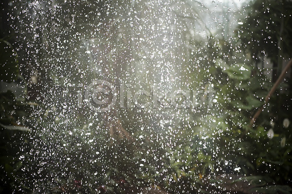 사람없음 JPG 근접촬영 포토 물방울 물뿌리기 봄 식물 식물원 실내 온실 자연