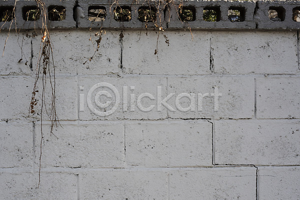 사람없음 JPG 근접촬영 포토 나뭇가지 돌벽 돌재질 무늬 백그라운드 벽돌 스톤 야외 주간 질감 패턴 회색