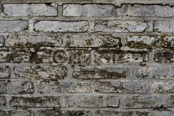 사람없음 JPG 근접촬영 포토 돌벽 돌재질 무늬 백그라운드 벽돌 스톤 야외 이끼 주간 질감 패턴 회색