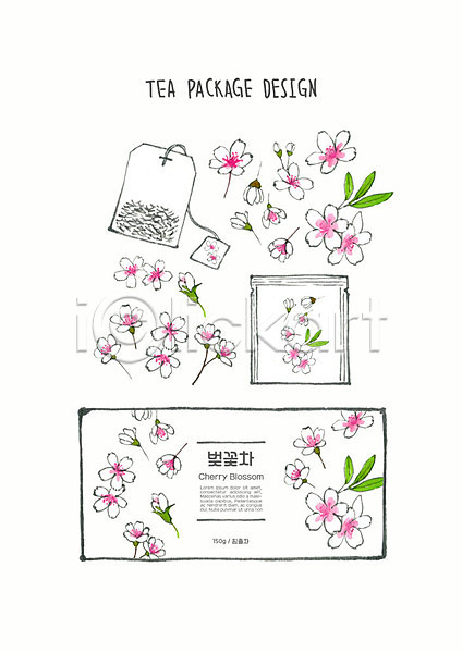 사람없음 PSD 일러스트 꽃 꽃차 디자인 번짐 벚꽃 붓터치 수채화(물감) 잎 차(음료) 컬러풀 티백 패키지
