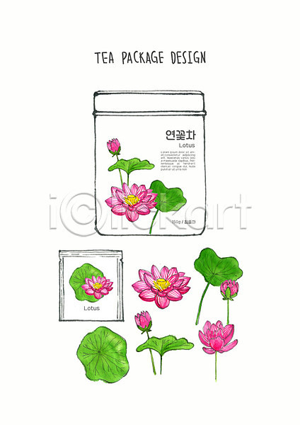 사람없음 PSD 일러스트 꽃 꽃차 디자인 번짐 분홍색 붓터치 수채화(물감) 연꽃(꽃) 연꽃차 연잎 차(음료) 초록색 컬러풀 티백 패키지