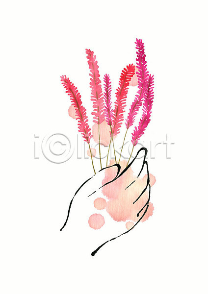 감성 따뜻함 신체부위 PSD 일러스트 계절 꽃 라그라스 번짐 봄 분홍색 뷰티 선 손 수채화(물감) 향기